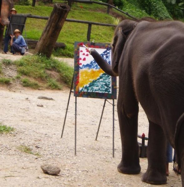 Elefante pintando