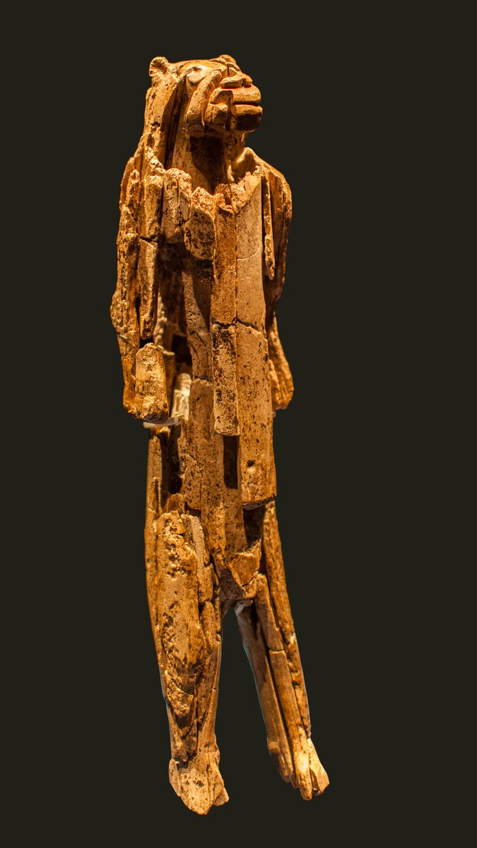 Homem Leão